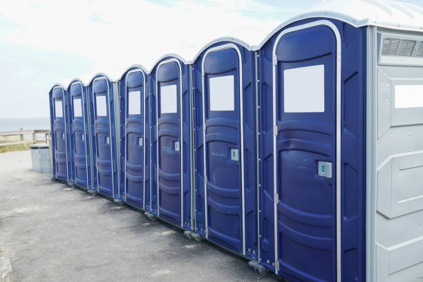 Types of Portable Toilets We Offer in Millstadt, IL